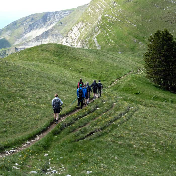 Nos offres de séminaire au vert Sauvades