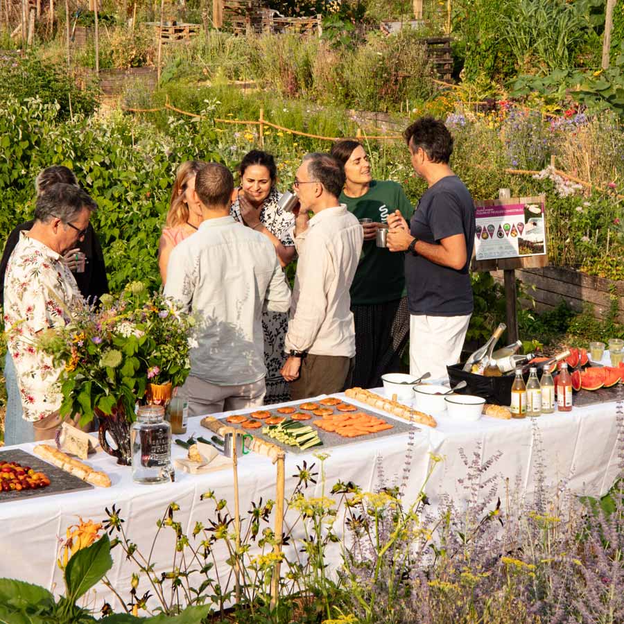 Groupe de personnes prenant un verre autour d'un buffet au milieu de la nature
